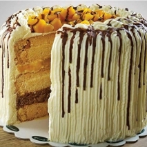 Send Contis mango cake to Philippines